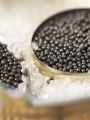 Caviar 3